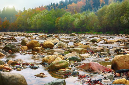 Preview: View of mountain river at autumn time