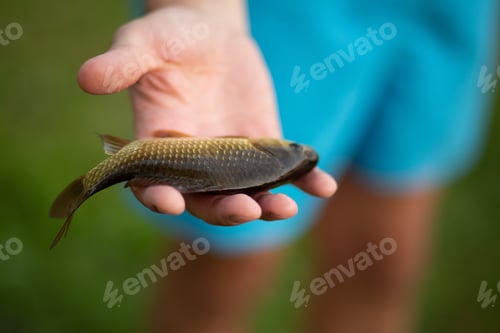 Preview: male hand holding fresh river fish