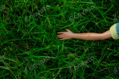 Preview: Doll hand touching green grass in a garden