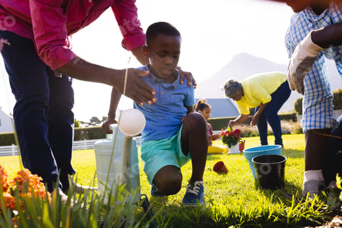 Preview: Low section of multiracial father and grandfather planting with boy on grassy field in yard