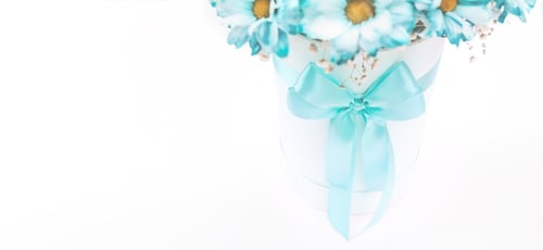 Preview: Close-Up of Blue Flowers in White Vase