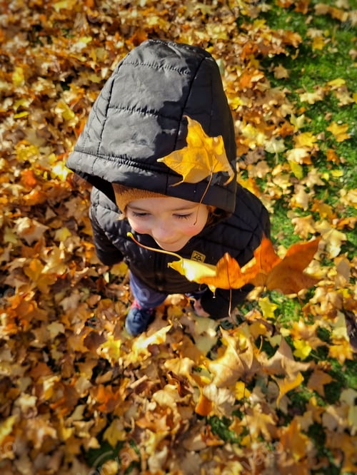 Preview: Child playing in autumn leaves