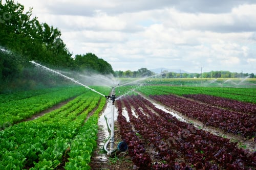 Preview: Sprinkler of irrigation system at field