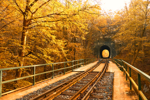 Preview: Railway in autumn forest