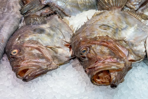 Preview: Fresh fish for sale