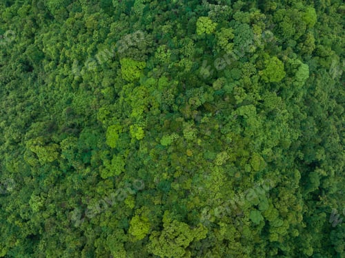 Preview: Aerial view of beautiful tropical forest mountain landscape