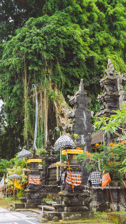 Preview: Bali temple entrance with guardian statue and Huge ancient Banyan tree in background. Indonesia