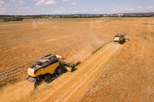 Preview: Aerial view of combine harvesters harvesting large yellow ripe wheat field