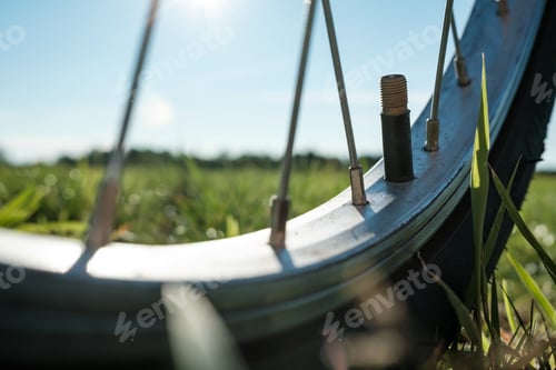 Preview: Close-up of a nipple without a cap on a bicycle wheel, in a meadow
