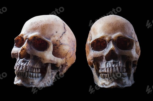 Preview: skull on black background