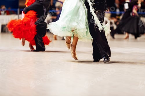 Preview: couple ballroom dancers