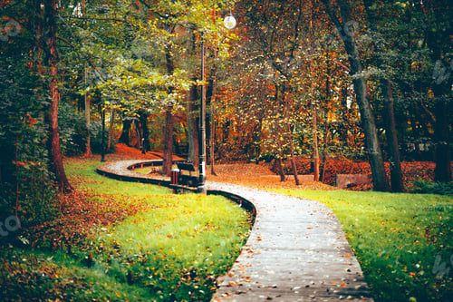 Preview: Aerial view of park with wooden path surrounded by dense autumn trees
