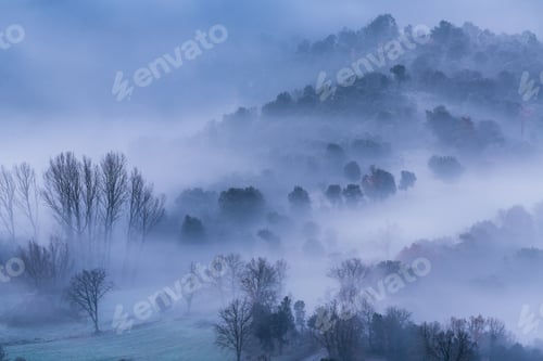 Preview: Fog over winter forest