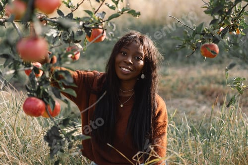 Preview: DSC03951