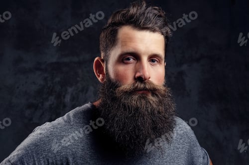 Preview: Portrait of a hipster with full beard and stylish haircut, dressed in a gray t-shirt in a studio