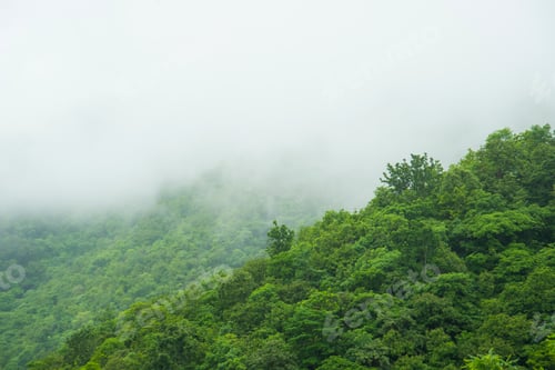 Preview: Landscape of fog and cloud mountain under mist the morning.