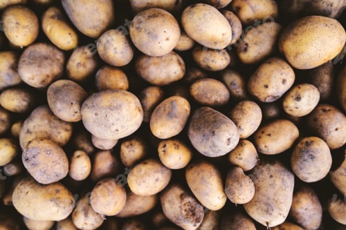 Preview: Close up of fresh potatoes.