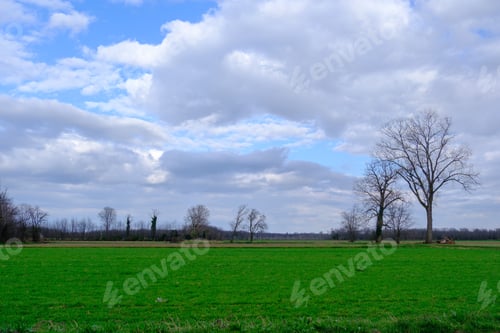 Preview: Rural landscape near Busto Garolfo, Milan, Italy, at March
