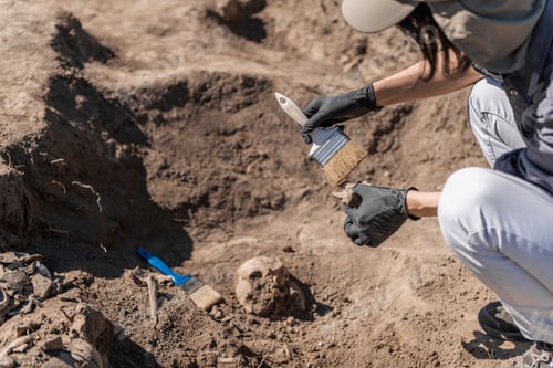 Preview: Anthropology. Anthropologist holding ancient human bones recovered from burial site.