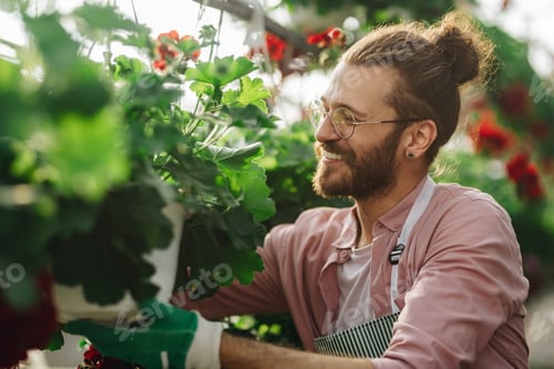 Preview: Man gardener working in a greenhouse