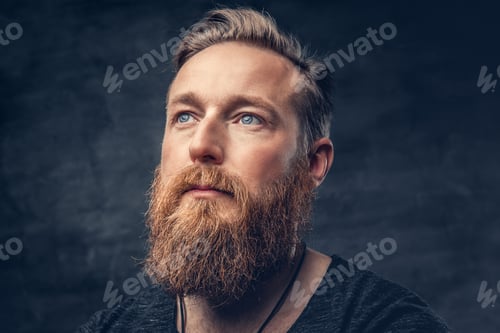 Preview: Redhead bearded male over grey background.
