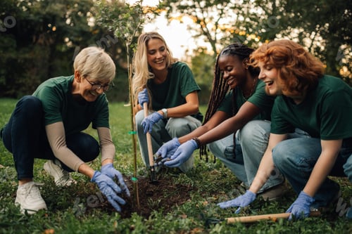 Preview: Group of volunteers planting new tree in park