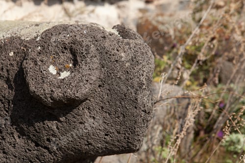 Preview: Closeup shot of an old aries sculpture with a blurry background