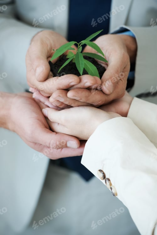 Preview: Nurturing corporate growth. Cropped image of hands holding a small plant growing in soil.