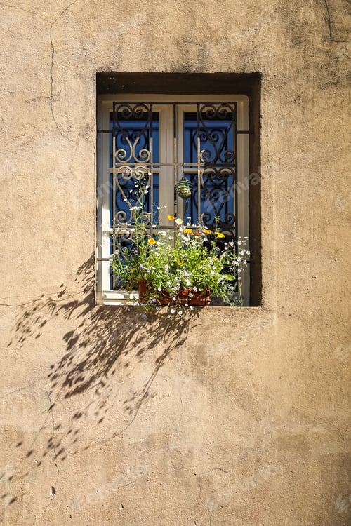 Preview: wall of a house with a window, flowers on the windowsill rustic style house facade