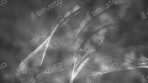 Preview: Grayscale texture of mottled and blurred light background