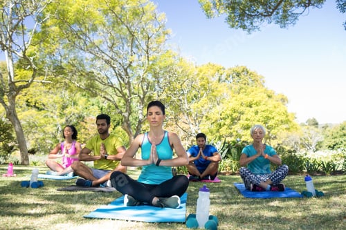 Preview: Group of people performing yoga in the park