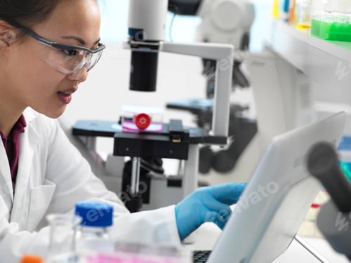 Preview: Scientist viewing results on computer during experiment in laboratory