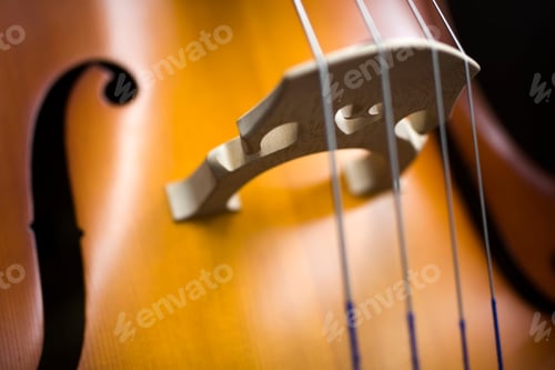 Preview: Upright bass