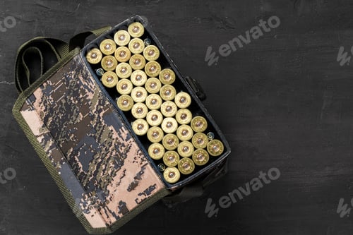 Preview: Set of cartridges for a hunting shotgun