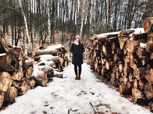 Preview: Winter