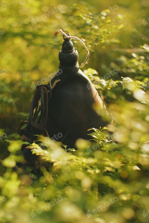Preview: vintage leather canteen laying outdoors in shrub