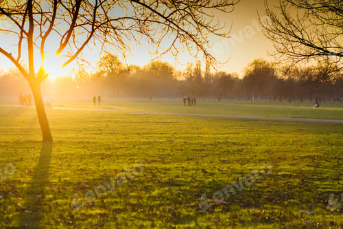 Preview: Walking on park