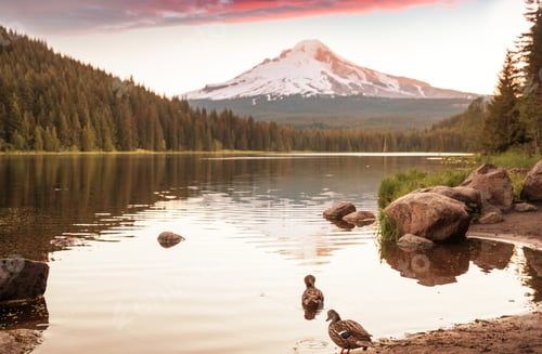 Preview: Mt Hood