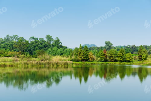 Preview: Wetland