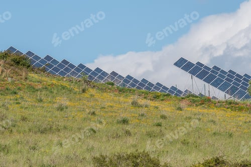 Preview: Shot of a huge area with solar panels with grass around