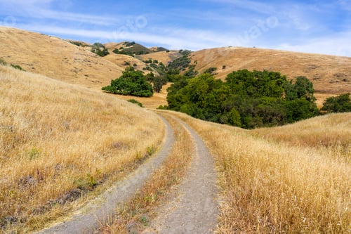 Preview: Walking trail among hills and valleys covered in dry grass