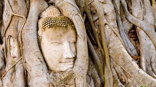 Preview: Ayutthaya, Thailand at Wat Mahathat, Temple stupa in the morningvisiting Ayyuthaya Thailand