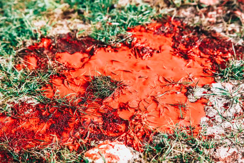 Preview: Closeup shot of red paint or blood on the grass
