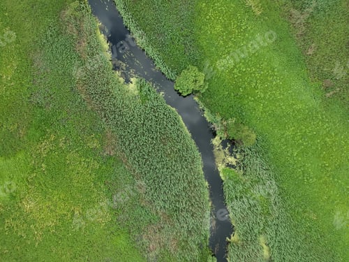 Preview: Aerial view over the small river which is on the green meadow.