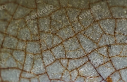 Preview: Close-up of a crack on the surface of old ceramic