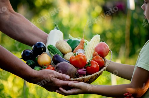 Preview: A woman and a boy are holding a basket with freshly picked organic vegetables