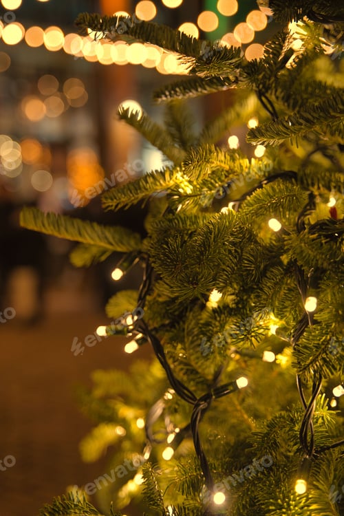 Preview: there are many lights that are hanging from the tree trunk
