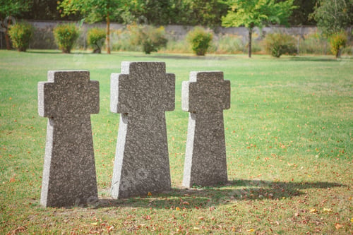 Preview: selective focus of memorial stone crosses placed in row on grass at graveyard