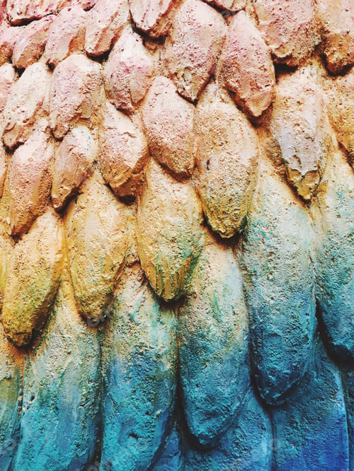 Preview: Bird's wing colourful texture background