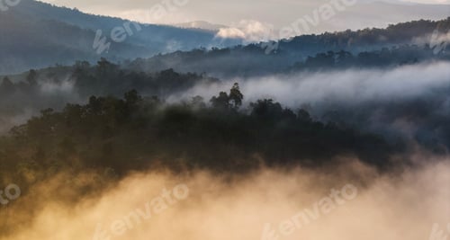 Preview: Aerial view morning mist and trees on a mountain in Asia